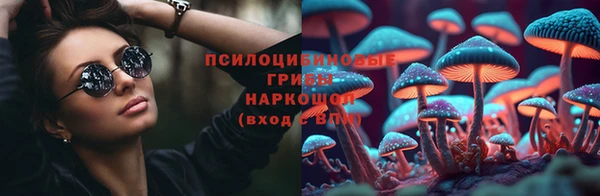 СК Дмитровск