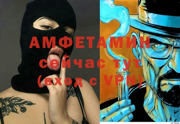 метадон Алексин