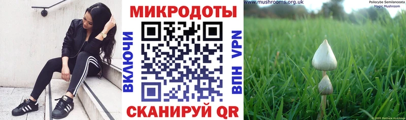 Галлюциногенные грибы Magic Shrooms  Луза 