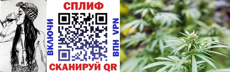 мега   цена наркотик  Луза  Шишки марихуана Amnesia 